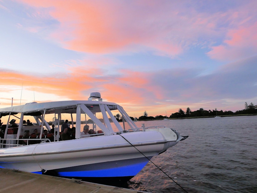 Brisbane River boat hire Cobia