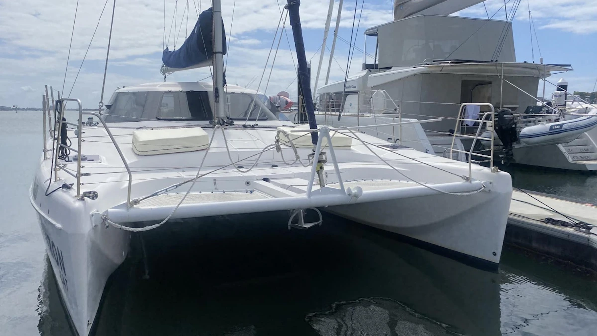 Horizon Cat - Image 1