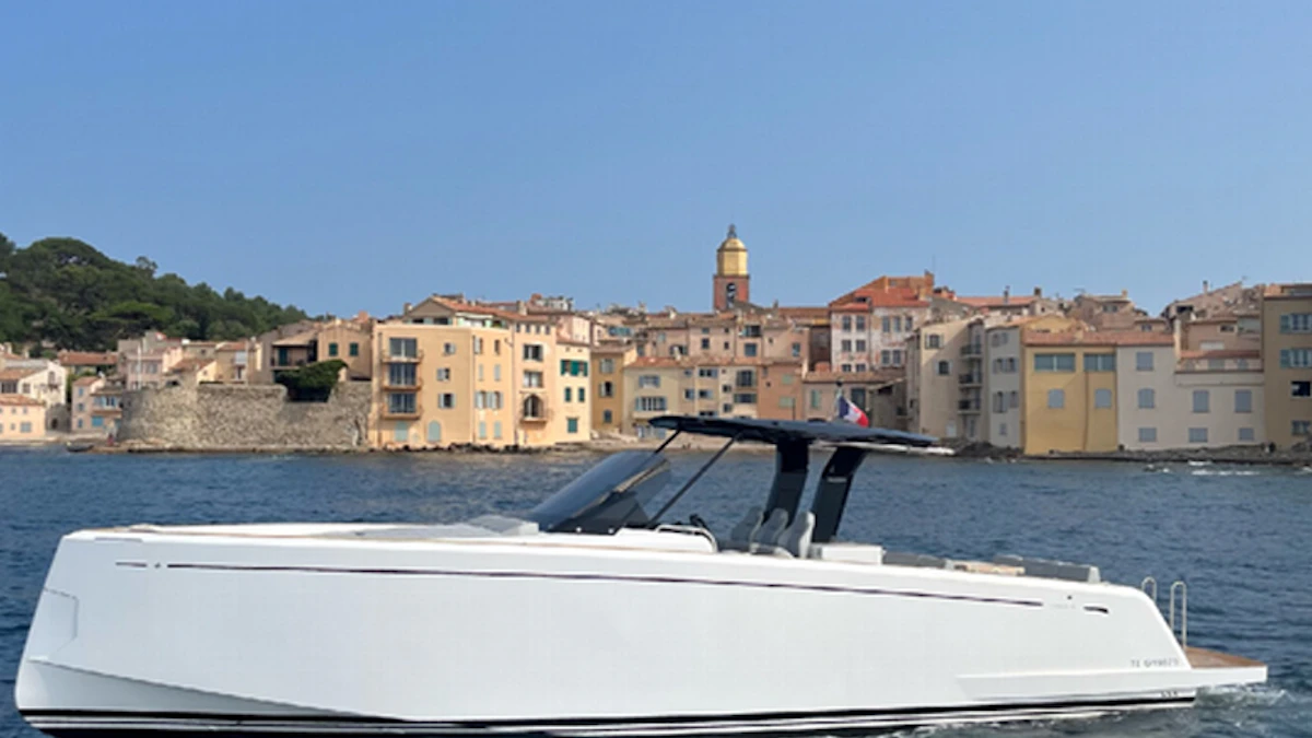 Pardo 38 - Image 1