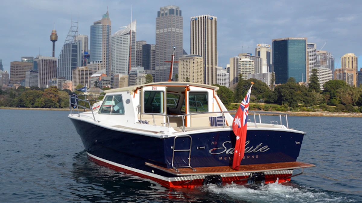MV Salute - Image 1